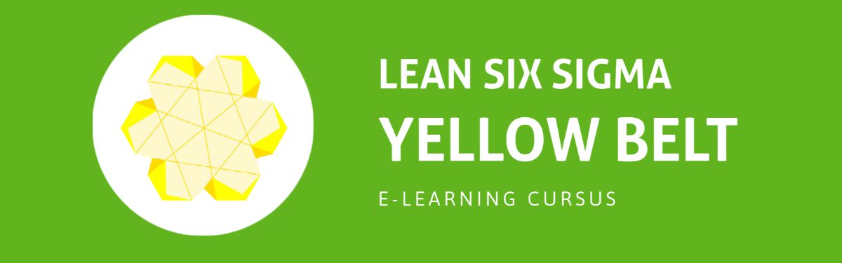 Lean Six Sigma - Yellow Belt