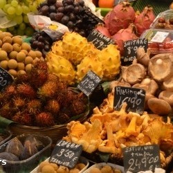 Talentcard van harmanna dijk