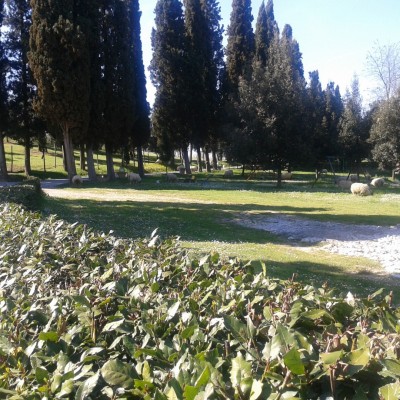 Talentcard van Erica Stadig