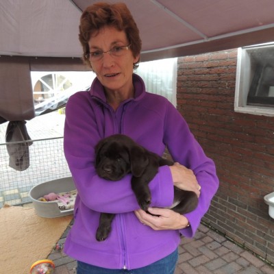 Talentcard van Anja Groenewoud