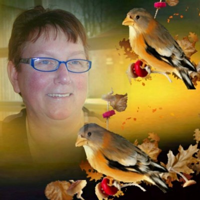 lammie brink