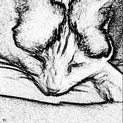 Talentcard van vrouw holle