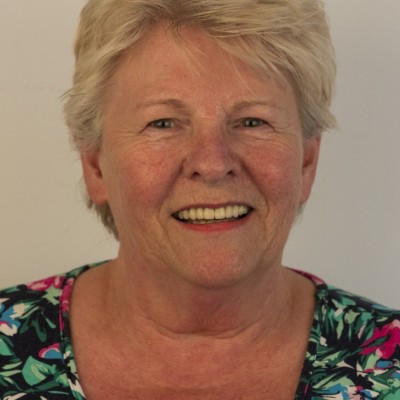 willemien van de vin