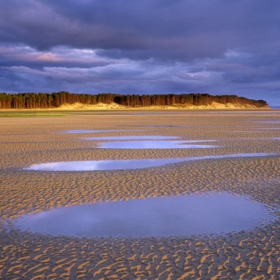 Talentcard van Paul Trossèl