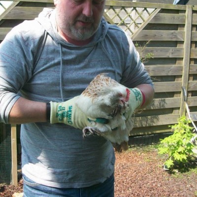 Talentcard van Twan Kreeft