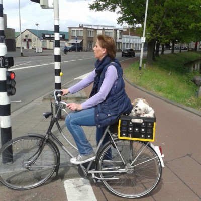 Talentcard van Sharon Boer